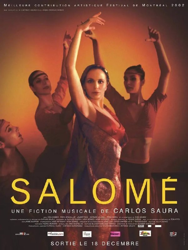 名称：莎乐美 Salomé (2002)描述：　剧团导演正在与舞者们排演弗兰明戈舞蹈版的《莎乐美》，预演排练，分工调度，各抒己见