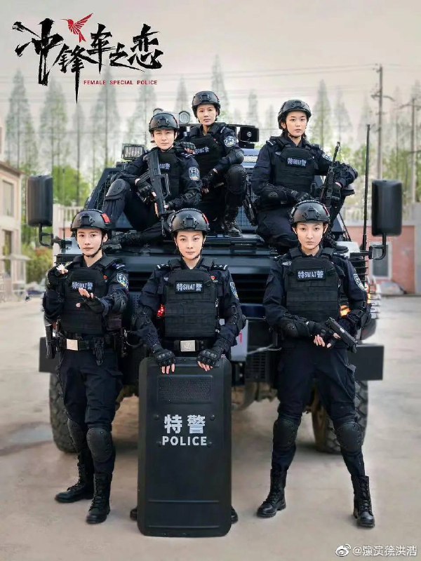 名称：女巡特警之蜂鸟突击队（2025） 更新至12集描述：长海市巡特警支队女子小队“蜂鸟”在协助一位年轻的母亲解决家庭纠纷时，发现了毒品交易的线索，后配合禁毒支队抓获毒贩“小丑”，救出三名被囚禁的少女