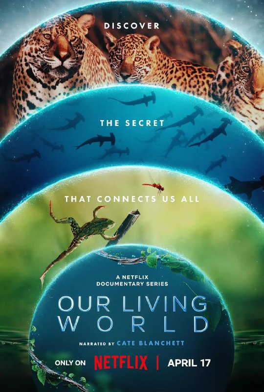名称：《我们的生物世界 Our Living World 2024》全4集 4K [内挂中文字幕]描述：《我们的生物世界》(2024)是由《全球绝美国家公园》原班团队打造的4K自然纪录片，奥斯卡影后凯特·布兰切特担任旁白