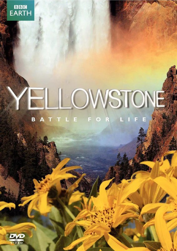 名称：BBC.黄石公园.(Yellowstone).2009.1080p.全3集[英语中字]描述：《BBC：黄石公园》(Yellowstone)是BBC于2009年推出的自然纪录片系列，全3集，每集49分钟，以高清画质展现了这座世界首个国家公园的壮丽景观与野生动物的生存挑战
