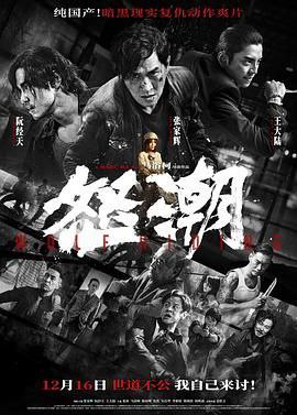 名称：《怒潮 》描述：《怒潮》（又名《本色》《新秩序》等）由马浴柯导演并参与编剧，汇聚了张家辉、阮经天、王大陆等众多实力演员