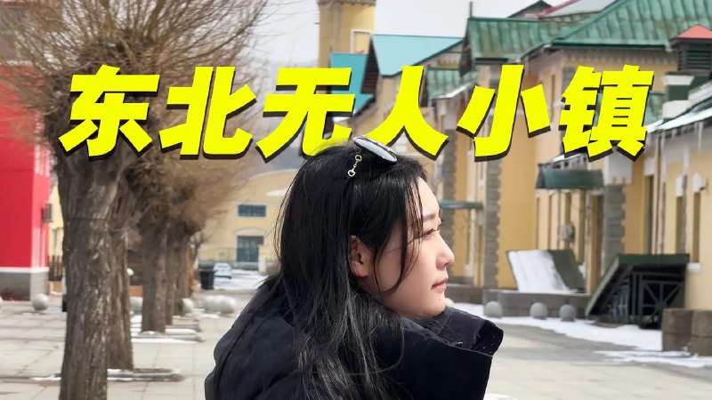 名称：【视频】东北无人小镇当年发达如香港，现在别墅几万块！物价很低！描述：N链接：